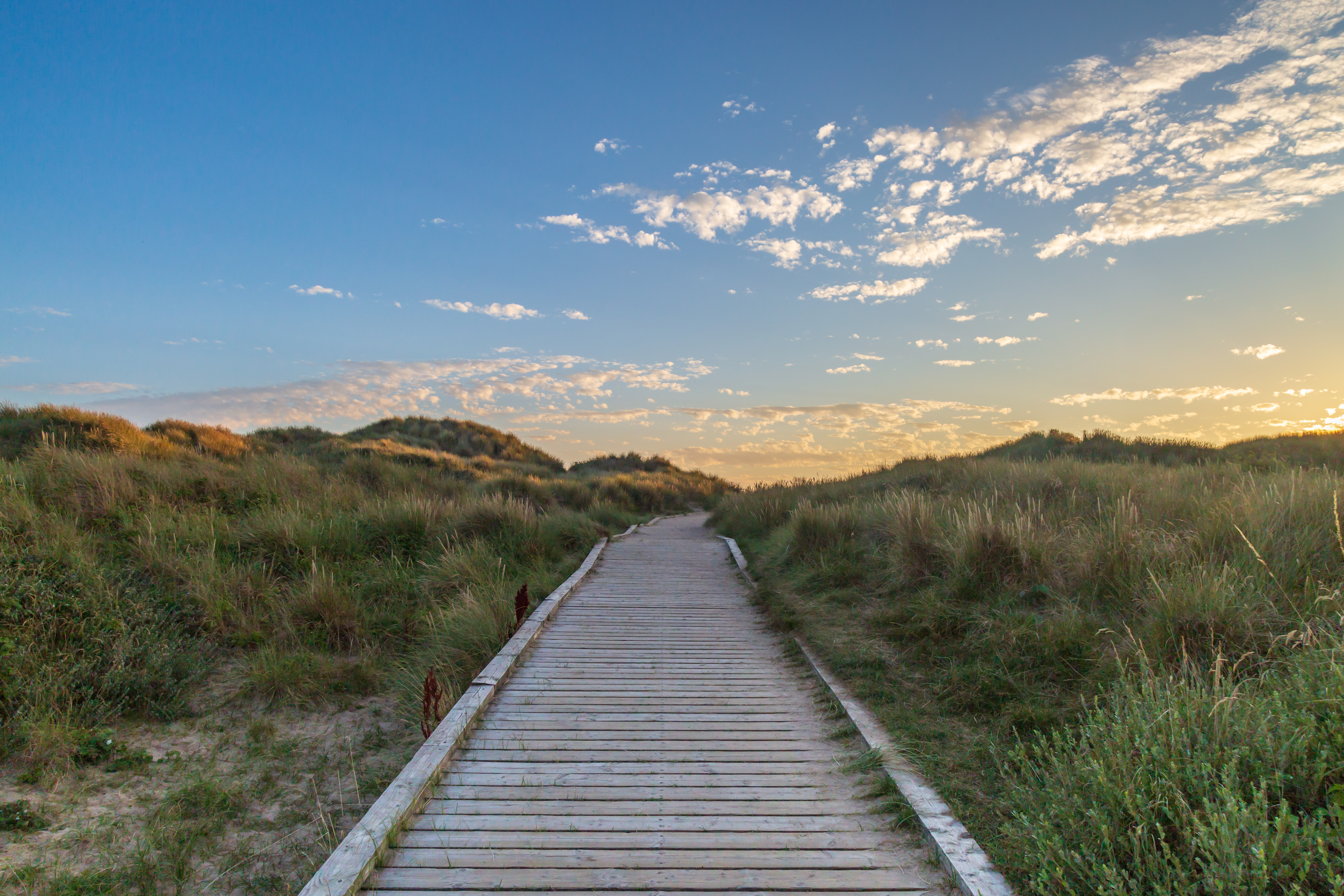 Peaceful path scene